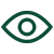 vision image